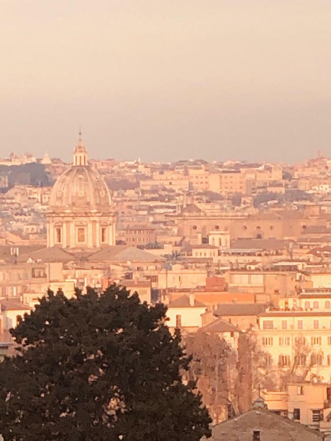 S.Apollonia Suite Trastevere 로마 외부 사진